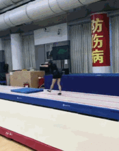 何雯娜最新爆料,揭秘体育界不为人知的幕后故事  第1张